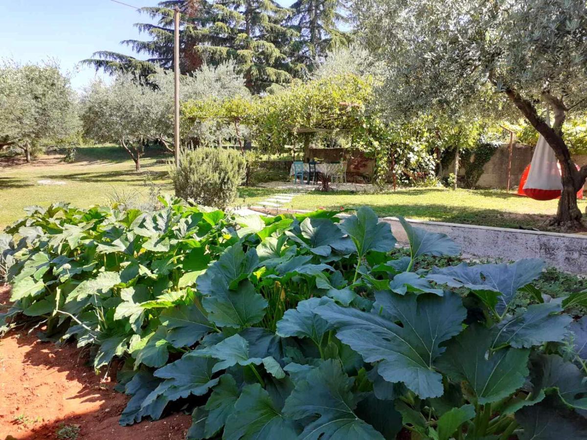 Apartman Bowie & Apartment Morgan Poreč Exterior foto